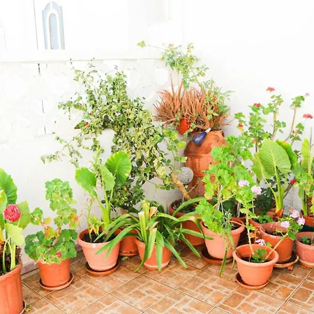 Traditional House In Laerma Chalet *